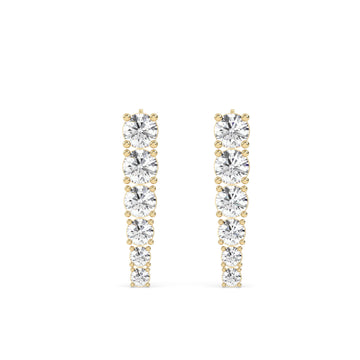 Round Elegant Earrings